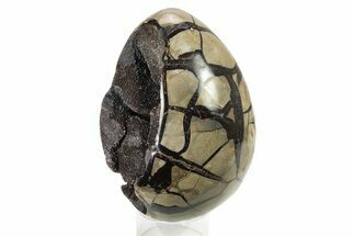 Septarian Dragon Egg Geode - Black Crystals #249318