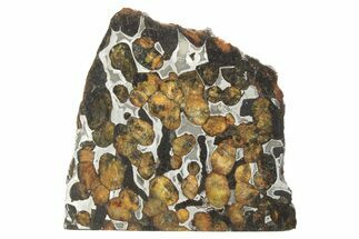 Polished Sericho Pallasite Meteorite ( g) Slice - Kenya #249877