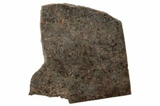 El Médano () Brachinite Meteorite Slice ( grams) - Chile #249944
