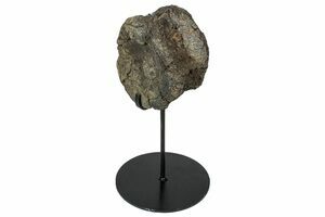 Lot: 7 Unidentified Dinosaur/Reptile Vertebrae (3-6