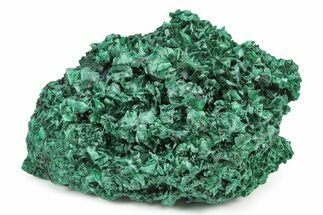 Silky, Fibrous Malachite Cluster - DR Congo #250614