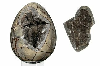 Septarian Dragon Egg Geode - Removable Section #251551
