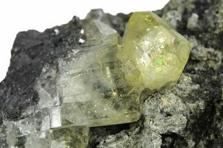 Glassy Yellow Anglesite Crystals on Galena - Morocco #251477