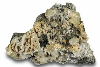 Calcite Crystals on Dolomite and Sparkling Pyrite - New York #251208
