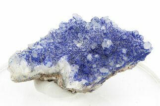 Vibrant Azurite on Quartz Crystals - China #252082