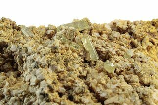 Lustrous, Yellow Apatite Crystals on Feldspar - Morocco #251142