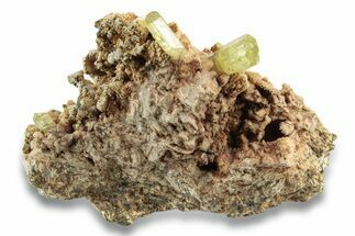 Lustrous, Yellow Apatite Crystals on Feldspar - Morocco #251153