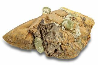 Lustrous, Yellow Apatite Crystals on Calcite - Morocco #251163