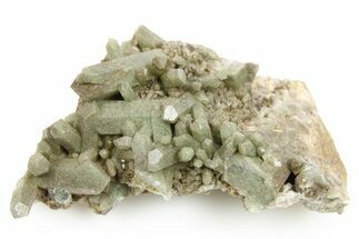 Chlorite Included Quartz Crystal Cluster - Pakistan #253170