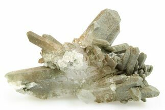 Chlorite Included Quartz Crystal Cluster - Pakistan #253173