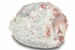 Rough, Pennsylvanian Aged Agatized Horn Coral - Utah #253118