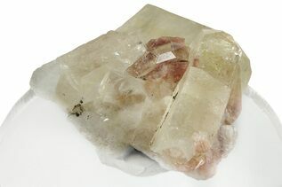 Buy Apophyllite