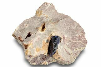 Lustrous Azurite Crystal on Matrix - Morocco #253456