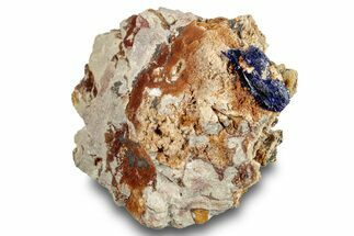 Lustrous Azurite Crystal on Matrix - Morocco #253457