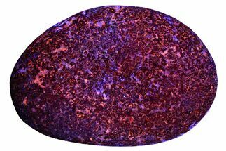 Highly Fluorescent Yooperlite Pebble - Michigan #253885