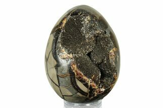 Septarian Dragon Egg Geode #253561