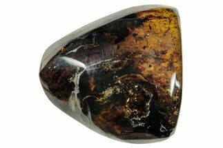 Polished Chiapas Amber ( g) - Mexico #253857