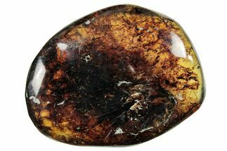 Polished Chiapas Amber ( g) - Mexico #253859