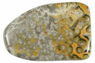 Polished Bumblebee Jasper - Mount Papandayan, Indonesia #247827