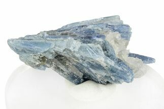 Vibrant Blue Kyanite Crystals In Quartz - Brazil #255007