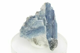 Vibrant Blue Kyanite Crystals In Quartz - Brazil #255015