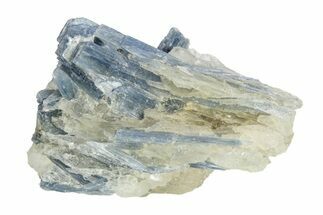 Vibrant Blue Kyanite Crystals In Quartz - Brazil #255025