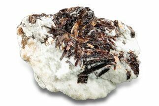 Golden-Brown, Radiating Astrophyllite - Kola Peninsula, Russia #255080