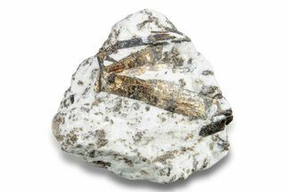 Golden-Brown, Radiating Astrophyllite - Kola Peninsula, Russia #255086