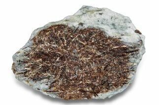 Golden-Brown, Radiating Astrophyllite - Kola Peninsula, Russia #255094