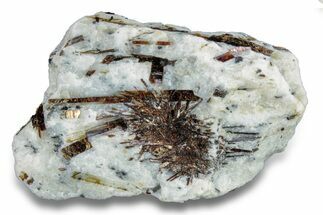 Golden-Brown, Radiating Astrophyllite - Kola Peninsula, Russia #255095