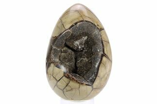 Septarian Dragon Egg Geode - Black Crystals #253746