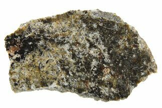 Polished Martian Meteorite Slice ( g) - NWA #256139