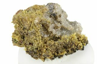 Mimetite Crystal Clusters on Limonitic Matrix - Mexico #256296