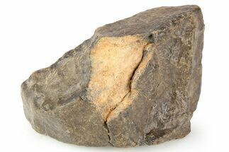 Chondrite Meteorite ( g) - Western Sahara Desert #256595