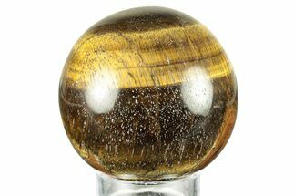 Polished Tiger's Eye Sphere #241646