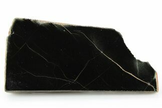 Polished Black Jade (Actinolite) Slab - Western Australia #256999