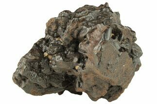 Goethite (Limonite) Pseudomorph after Marcasite - Egypt #257297