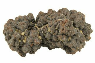 Goethite (Limonite) Pseudomorph after Pyrite/Marcasite - Egypt #257303