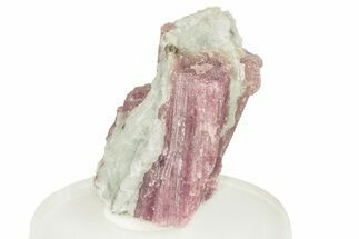 Pink Tourmaline (Rubellite) in Quartz - Brazil #257911