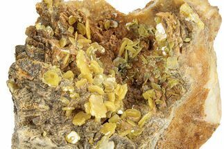Yellow Tabular Wulfenite Crystals on Dolomite - Morocco #258053