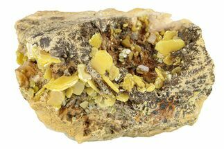 Bright Yellow Wulfenite on Dolomite - Morocco #258058