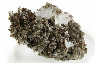 Lustrous Axinite Crystal Cluster - Dalnegorsk, Russia #259018