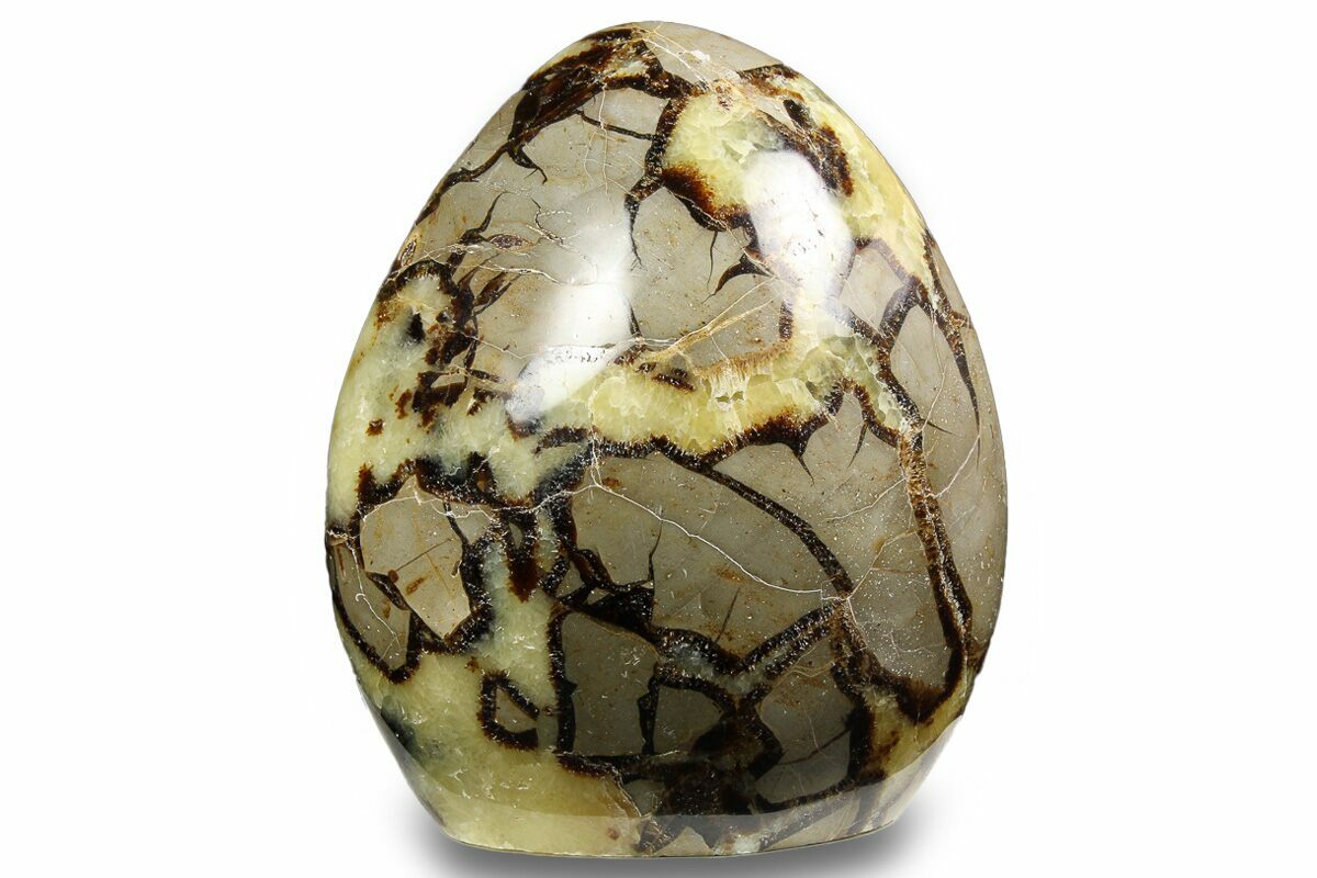 Septarian Form 4.6
