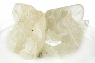 Cerussite Crystal Cluster - Morocco #259022