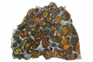 Pallasite Meteorites For Sale