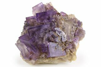 Purple Cubic Fluorite Crystal Cluster - Cave-In-Rock #260302