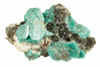 Deep Teal Amazonite with Smoky Quartz Crystals - Colorado #259927