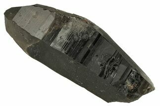 Natural, Dark Smoky Quartz Crystal - Colorado #259945