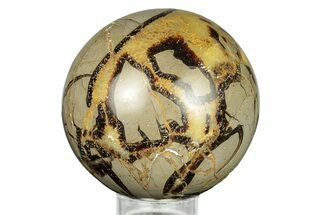 Polished Septarian Sphere - Madagascar #260024