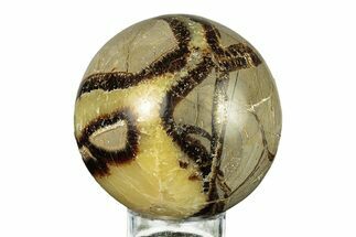 Polished Septarian Sphere - Madagascar #260042